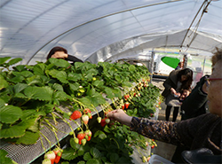 透析患者さんと楽しいバス遠足1